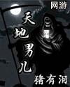 网游之天地男儿封面