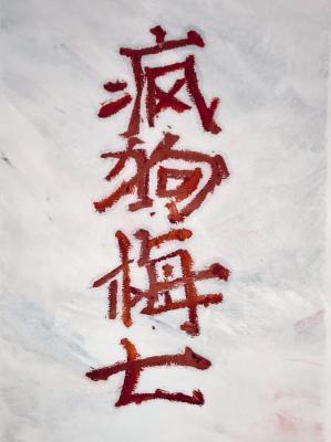 疯狗梅七封面