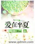 爱在半夏封面