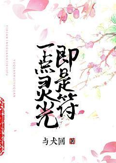 一点灵光即是符封面