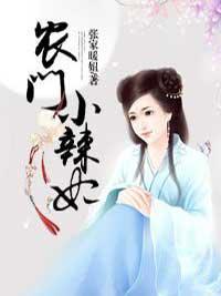农门小辣妃封面