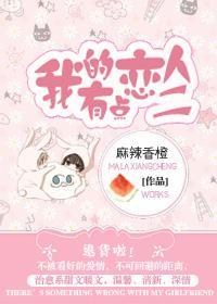 我的恋人有点二封面