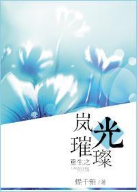 重生之岚光璀璨封面