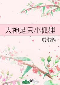 大神是只小狐貍封面