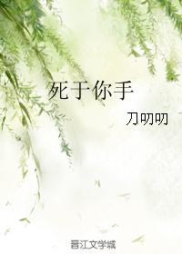 死于你手封面