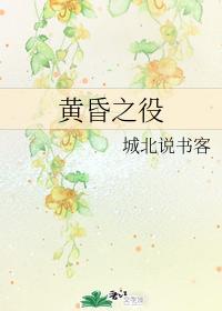 黄昏之役封面