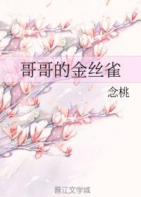 哥哥的金丝雀封面