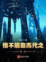 恨不能取而代之系统封面