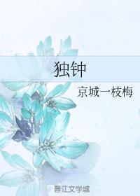 独钟封面