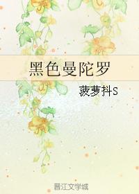 黑色曼陀罗封面