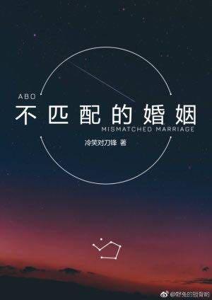 不匹配的婚姻封面