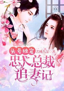 头号独宠：忠犬总裁追妻记封面