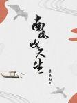 南风吹又生封面
