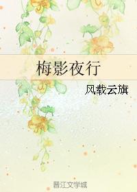 梅影夜行封面