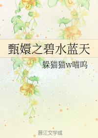 甄嬛之碧水蓝天封面