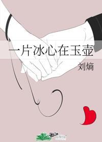 一片冰心在玉壶封面