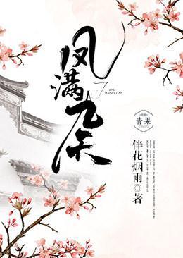 凤满九天封面