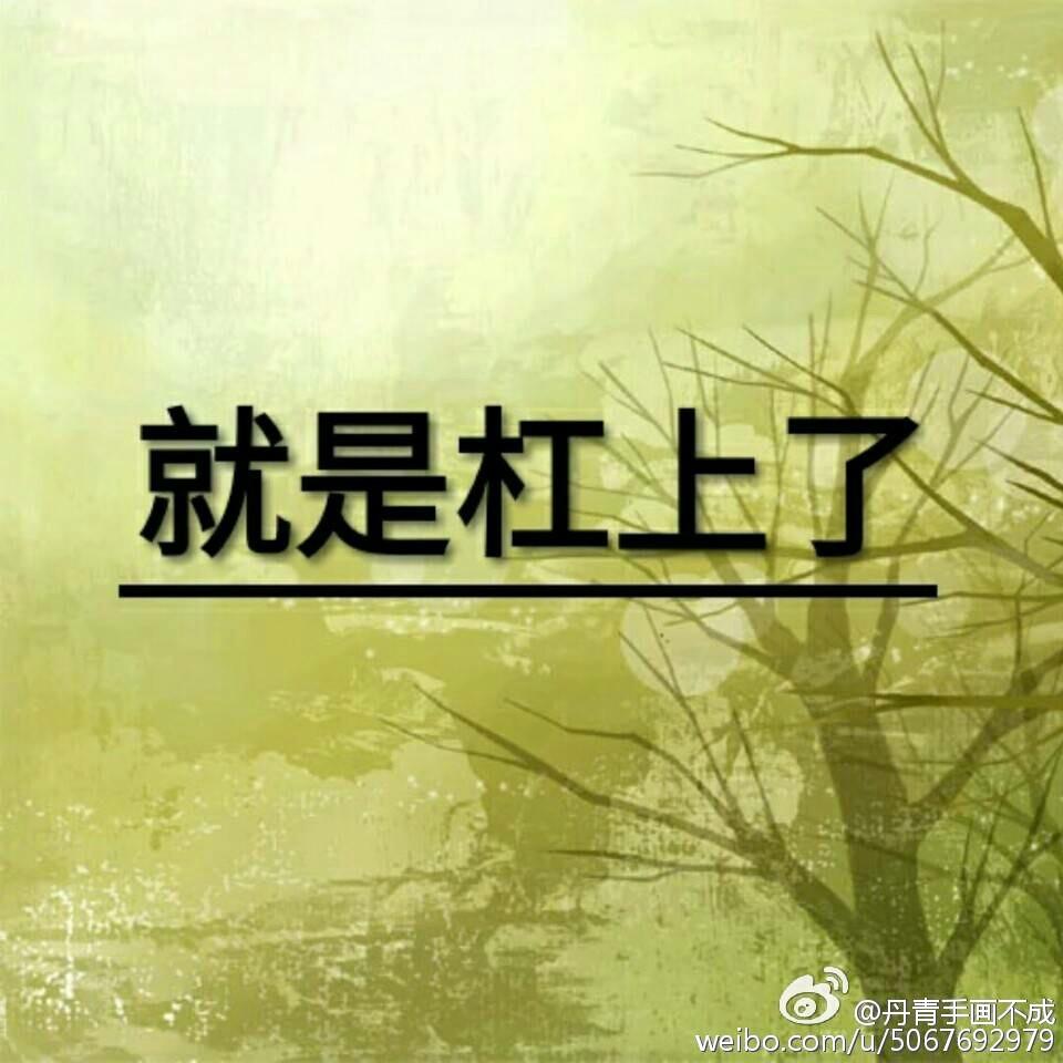 就是杠上了封面