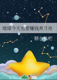 地球今天也要赚钱养月亮封面