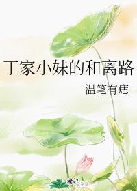 丁家小妹的和离路封面