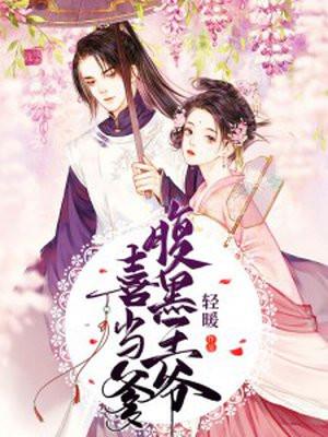 齐妃云南宫夜封面
