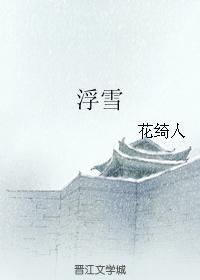 浮雪封面