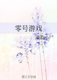 零号游戏封面