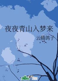 夜夜青山入梦来封面