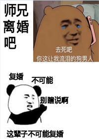 师兄，离婚吧封面