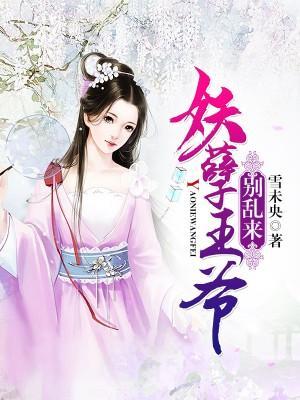 妖孽王爷别乱来封面