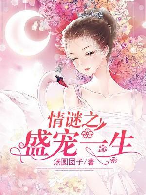 情谜之盛宠一生封面