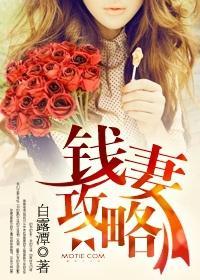 钱妻攻略封面