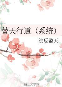 替天行道（系统）封面