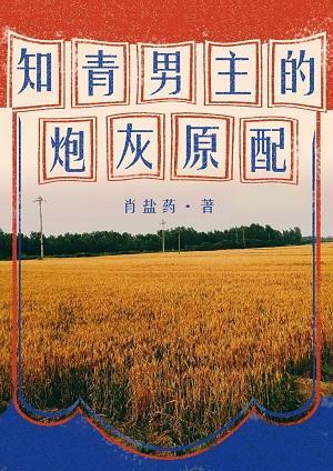 知青男主的炮灰原配[穿书]封面