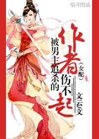 被男主追杀的作者伤不起封面