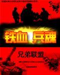 铁血兵魂封面