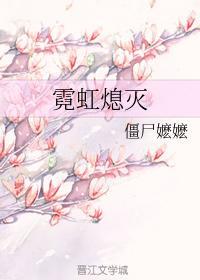 霓虹熄灭封面