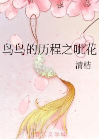 鸟鸟的历程之呲花封面