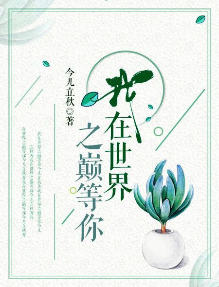 我在世界之巅等你封面