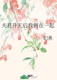夫君升天后我俩在一起了封面