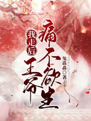 我走后,王爷痛不欲生封面