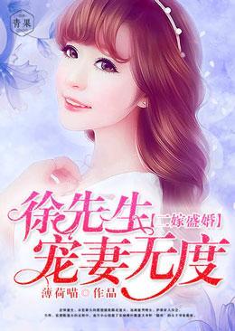 二嫁盛婚：徐先生宠妻无度封面