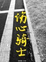 伤心骑士封面