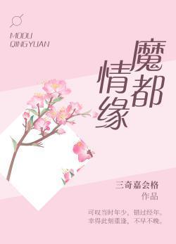 魔都情缘封面