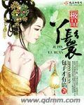 极品丫鬟封面