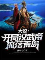 大汉开局汉武帝流落荒岛封面