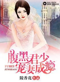 腹黑君少宠妻成瘾封面