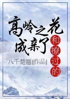 和撩过的高岭之花成亲了封面