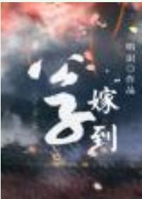 公子嫁到封面