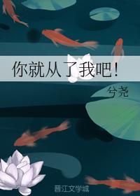 你就从了我吧！封面